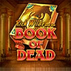 Book of Dead screenshot